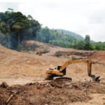 EU bans goods linked to deforestation