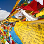 ‘Half the world’s languages could be lost to climate change’