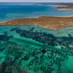 What is the Seychelles’ climate answer?