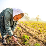 UN: ‘20m jobs could be created by climate investment’