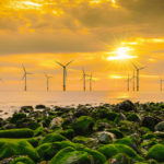 ‘Low carbon investments to rise by $60bn this year’