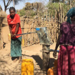 Big tree site appeal for UK, as clean drinking water wells established and carbon emissions prevented