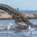 ‘Water companies must show improvements’