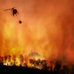 ‘Don’t just cope with climate change, slash emissions’