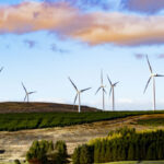 ‘For net zero’s success, public sector must take charge’