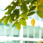 ‘Just 20% of SMEs know what ESG is’